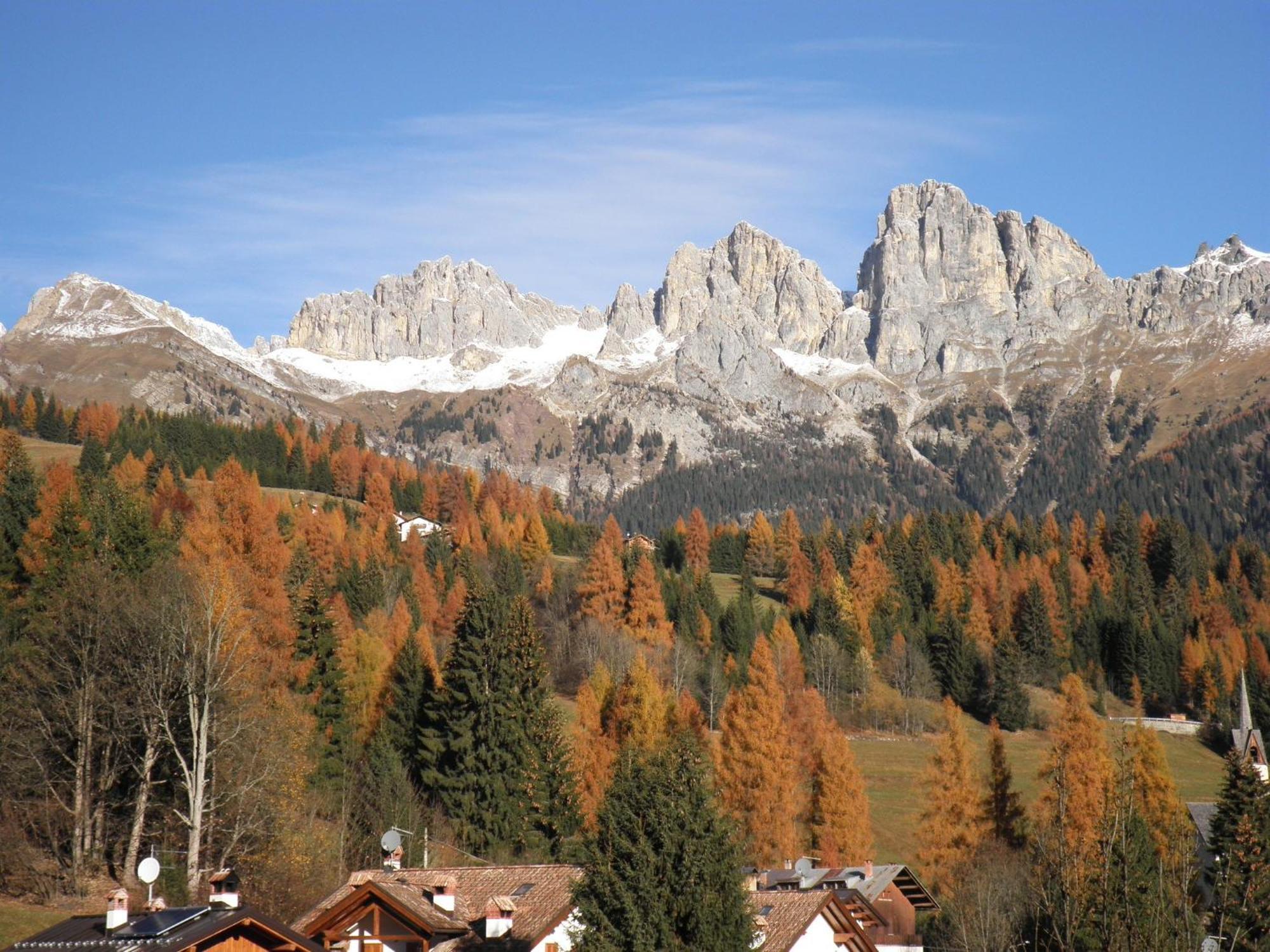 Appartamenti Nigritella Falcade Exterior foto